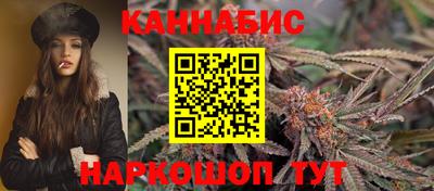 PSILOCYBIN Камышлов