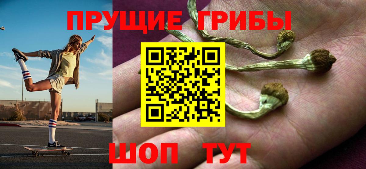 Керчь  Галлюциногенные грибы Cubensis  Вход с VPN 