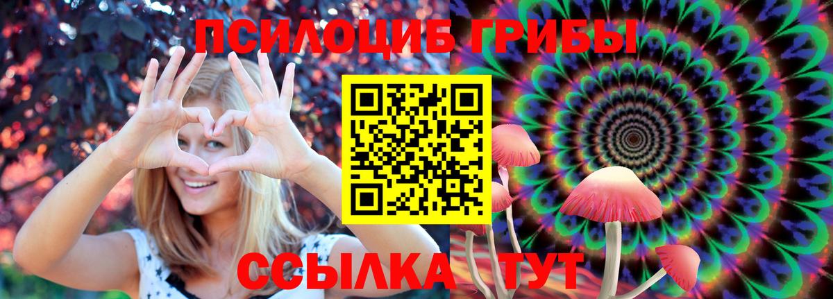 Галлюциногенные грибы мицелий Керчь